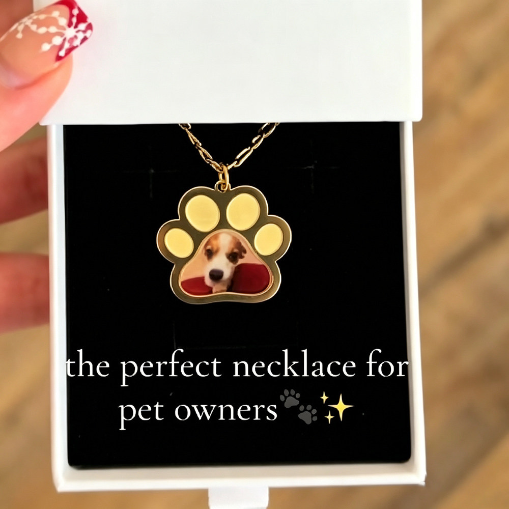 สร้อยคอพร้อมจี้รูปอุ้งเท้าสัตว - Custom Name Necklace Stainless Steel บทวิจารณ์และราคา